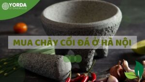 Địa Chỉ Mua Chày Cối Đá Ở Hà Nội Uy Tín, Chất Lượng Cao